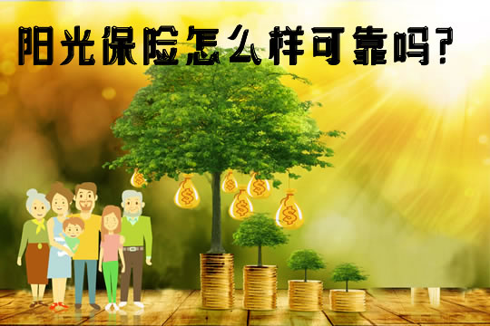 陽光保險(xiǎn)招聘信息詳解，如何把握機(jī)遇，成功入職陽光保險(xiǎn)？