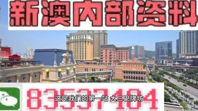 ＂2024澳門正版資料大全＂的：靈活性執(zhí)行方案_響應版3.19