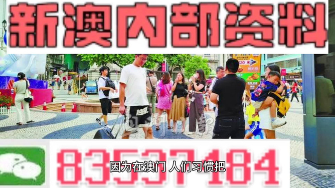 ＂2024澳門精準(zhǔn)正版免費(fèi)＂的：專業(yè)調(diào)查具體解析_安全版9.23